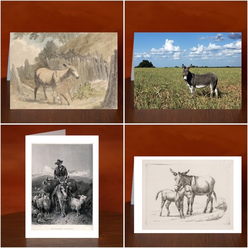 Donkey themed greeting - donkey,
