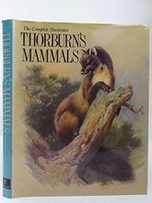 Thorburn mammals - thorburn's,