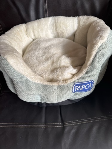 Rspca cat bed small - bed, dog