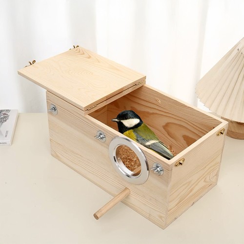 Parrot budgie lovebirds wood - lovebirds,