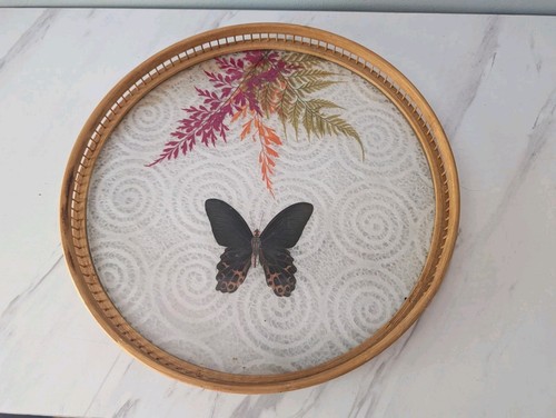 Vintage 70s pressed butterfly - vintage,