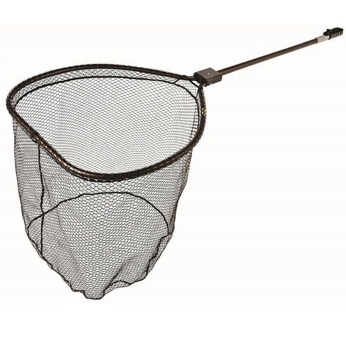 Mclean sea trout - trout,, &