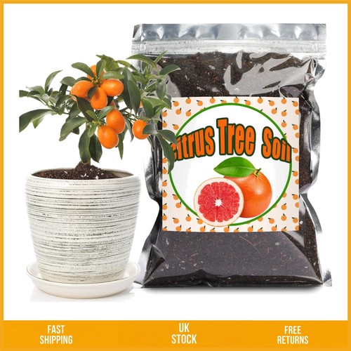 Organic loamy citrus potting - organic,