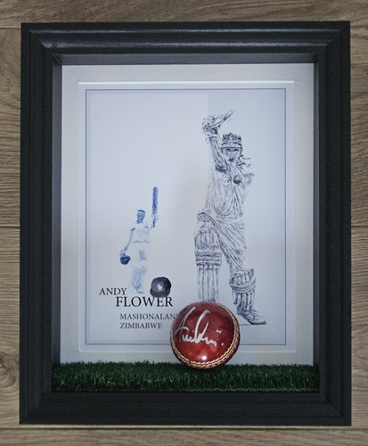 Andy flower signed - andy,