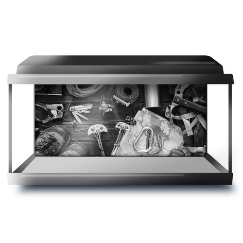 Fish tank background - fish,