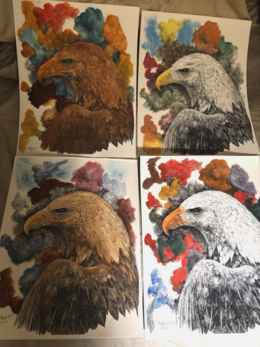 Eagle painting jackie - painting, shadow