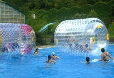 8.5ft Large Water Roller