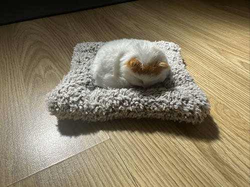 Tiny sleeping cat - sleeping, ornament