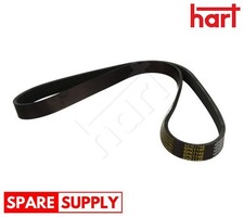 V-RIBBED BELT FOR CITROËN