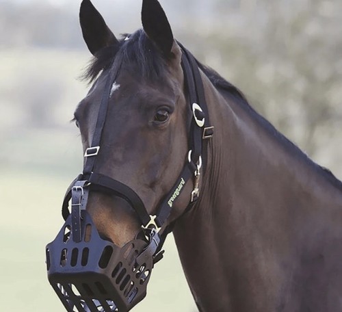 Greenguard grazing muzzle - greenguard, &