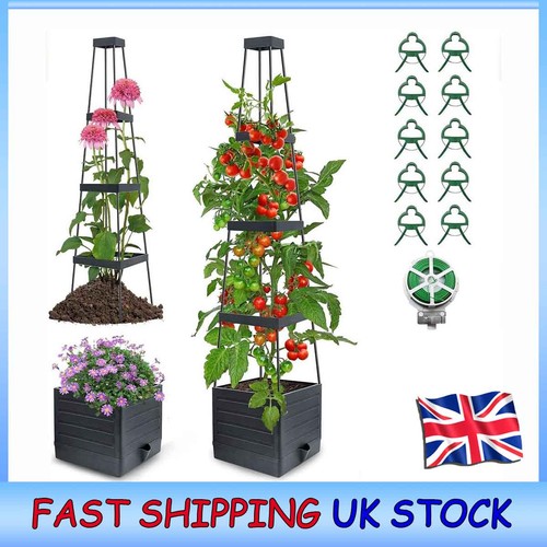 Tier wooden grain tomato - grain,