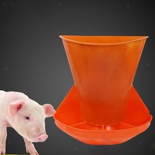 Pig Feeder Piglet Feeding