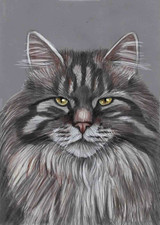 Original colour pencil artwork