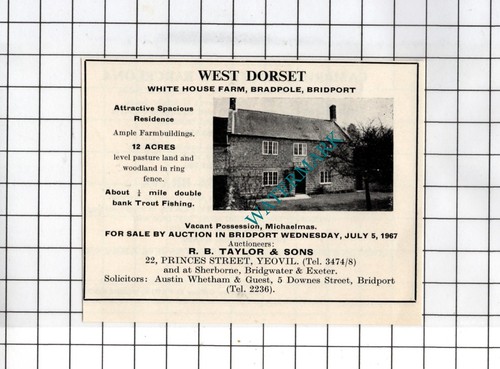 White house farm bradpole - white,