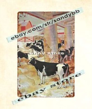 cow farm livestock Guernsey