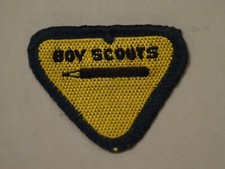 Boy Scouts Wolf Cub