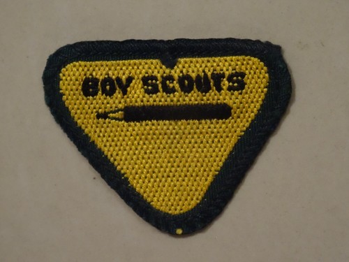 Boy scouts wolf - boy, cub