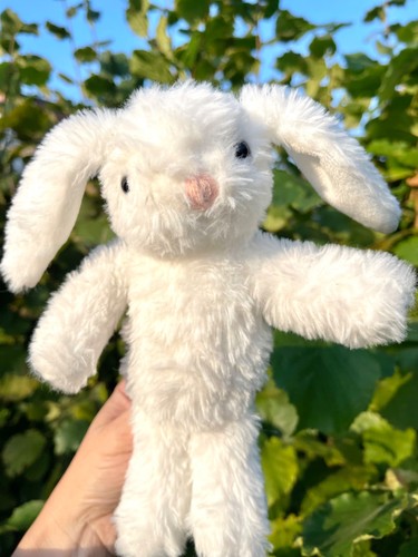 Adorable small white bunny - white,
