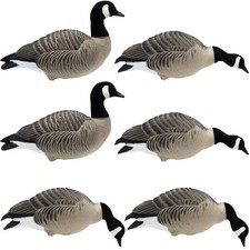 CANADA GOOSE FULL BODY DECOYS