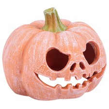  Gecko Tank Accessories Lizard