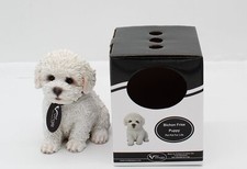 Vivid Arts Bichon Frise Puppy