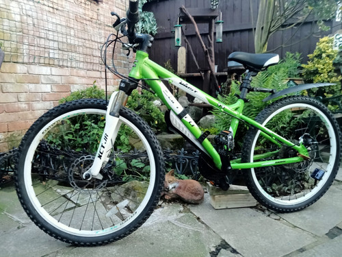 Ladies bicycle - bicycle,