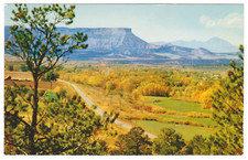 Vtg Postcard-Mesa Verde & Ute