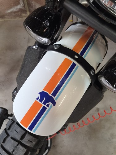 Royal enfield bear 650 - enfield,