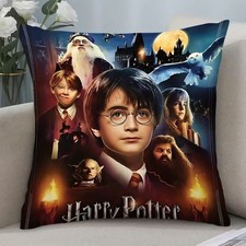 New 45 x 45 Harry Potter Film