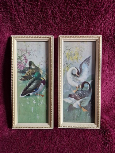 Two framed pictures mallard - framed,