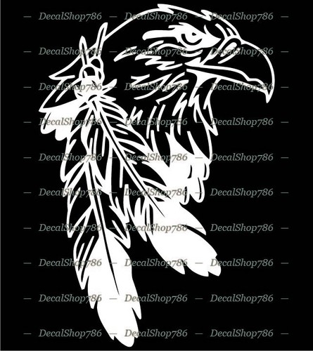 Native american indian - american, eagle