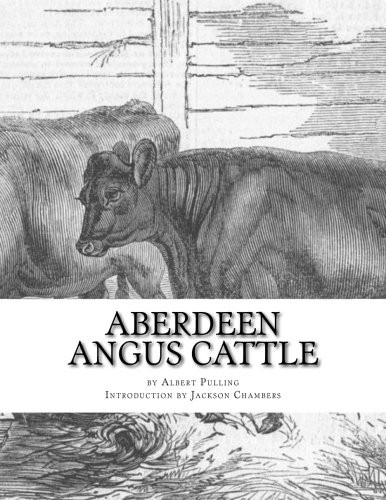 Aberdeen angus cattle notes - aberdeen,