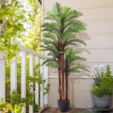 6.6FT Large Artificial Palm