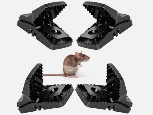 Long 4pack rat - rat, that