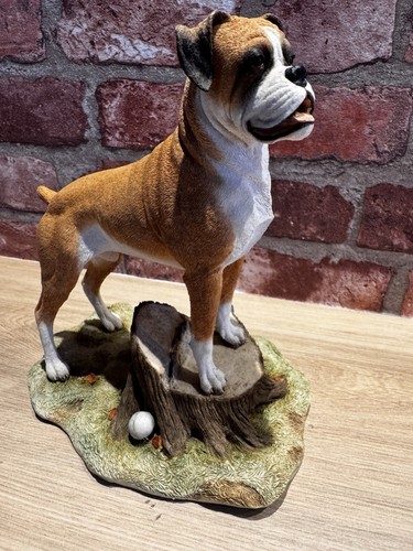 Sherratt simpson boxer dog - sherratt,