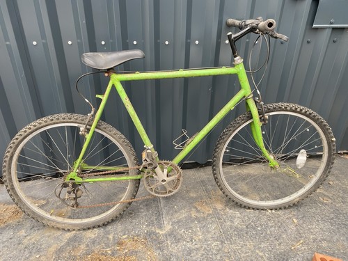 Vintage raleigh - vintage,