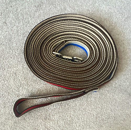 Lunge line webbing strap with - lunge,