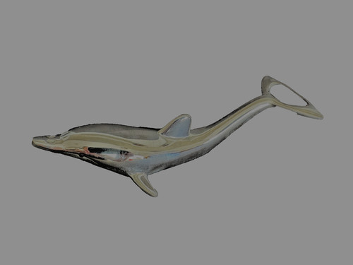 Dolphin bottle twist - twist, cap