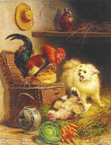 New dogs postcard museum - postcard, art