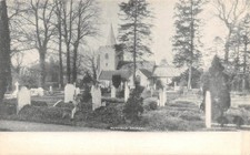 POSTCARD  SURREY  NUTFIELD