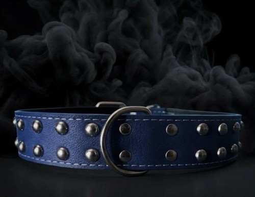 Elegant blue studded dog - blue,