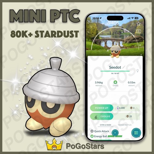 Pokémon ptc shiny seedot - ptc, go