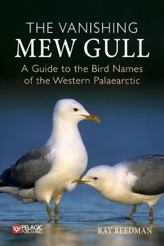 The vanishing mew gull a - mew,