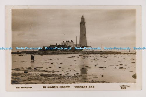 C034889 mary island whitley - st,