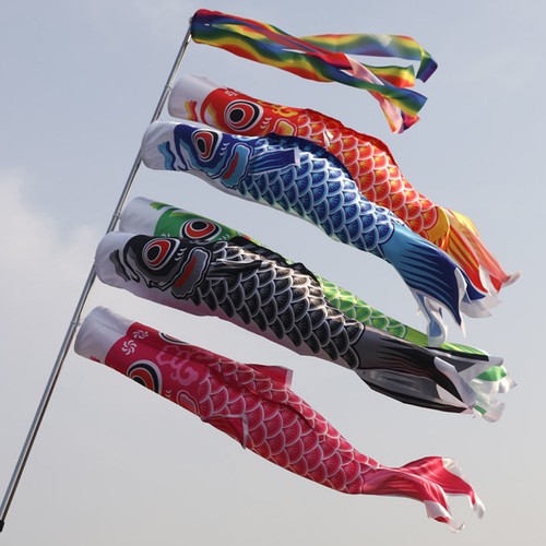 Pcs koinobori festival carp - pcs,