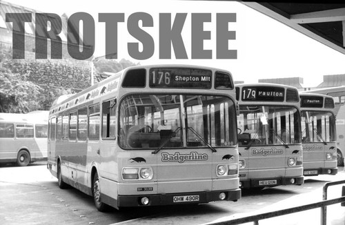 35mm negative badgerline - 35mm,