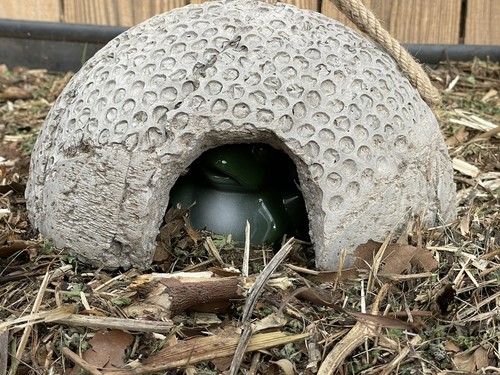 Toad house decorative cover - toad,