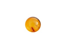 Natural Amber Cabochons -