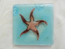 Downs glass starfish - glass,
