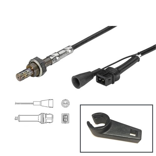 Lambda sensor socket front - +,